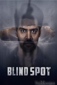 Blind Spot (2025) Telugu Movie