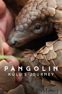 Pangolin Kulus Journey (2025) ORG Hindi Dubbed Movie